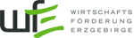 Logo WFE