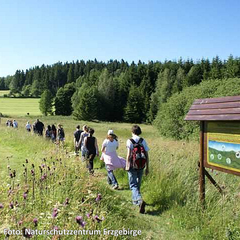 Natura 2000 - Naturlehrpfad 