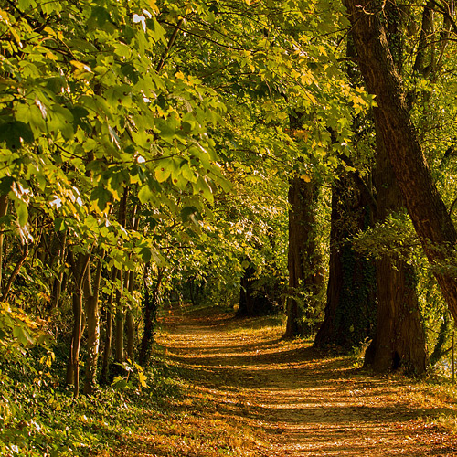 Rundwanderweg Schlettau