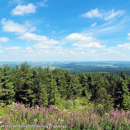 Wanderweg der deutschen Einheit (WDE)